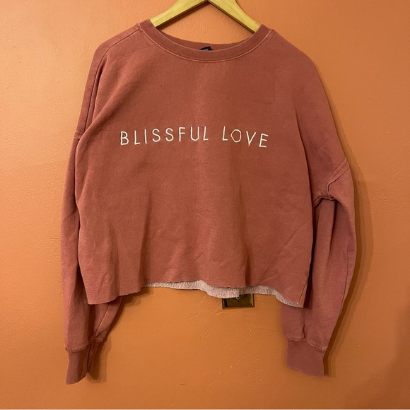Charles River Apparel Tops - Women's Rust crop Sweatshirt